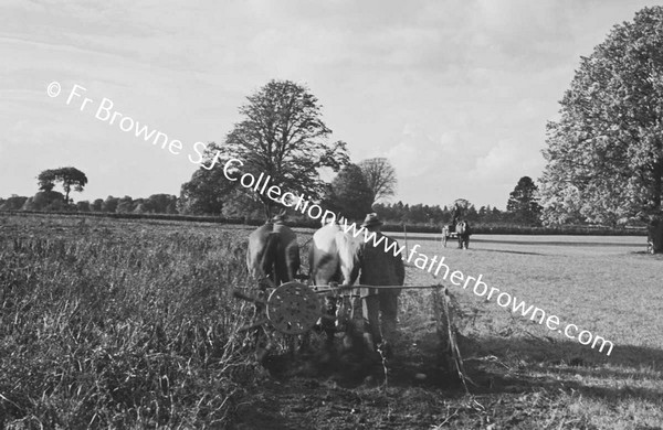 MEN WORKING IN FIELD